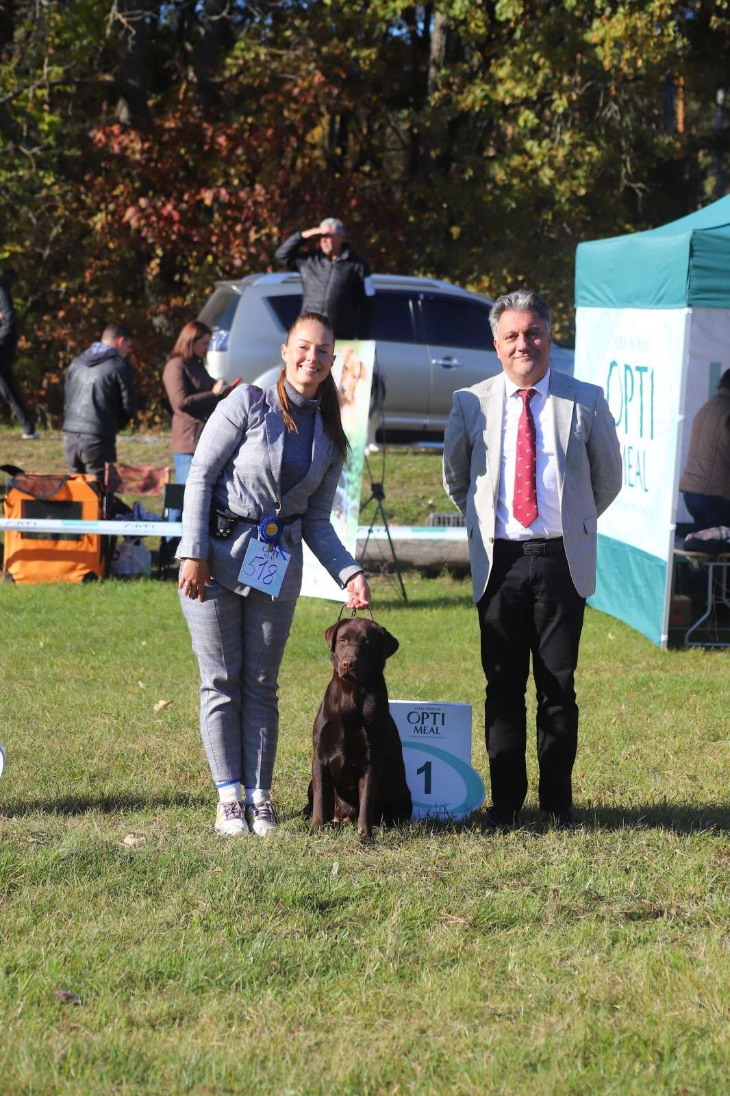 Ruby. Цуценята лабрадор ретривера, Дніпро, Україна