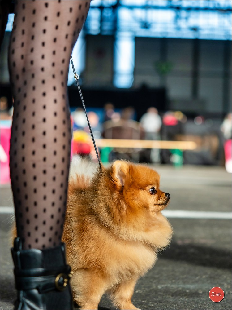 Photographie animalière. Photographe à Strasbourg | Portraits, Studio, Enfants, Événements
