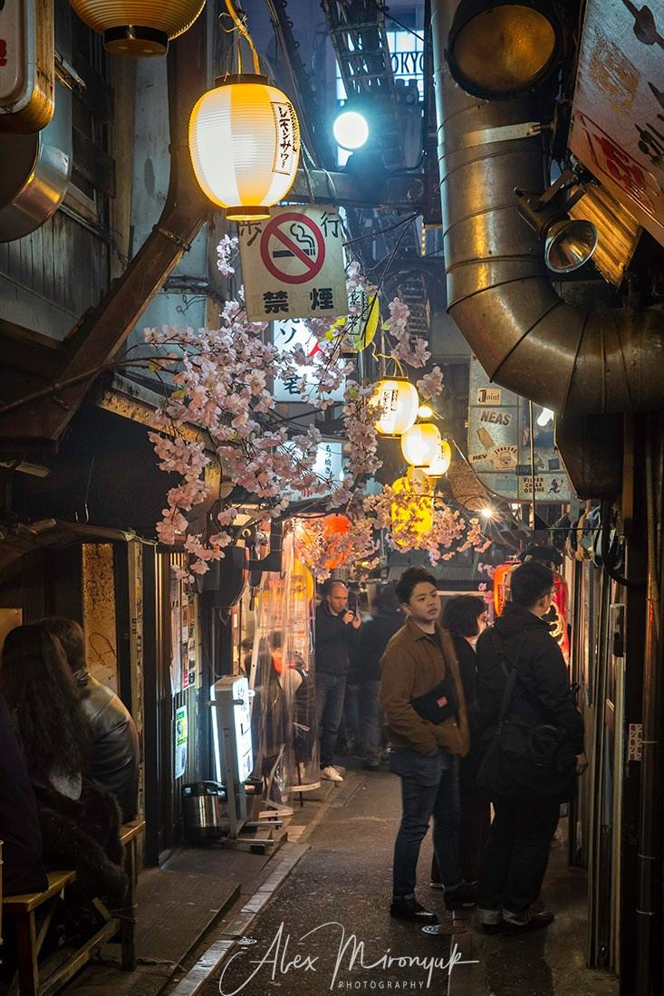 Hanami Season in Japan. Pet, Senior, Landscape, portrait studio, photographer in Miami and Sou