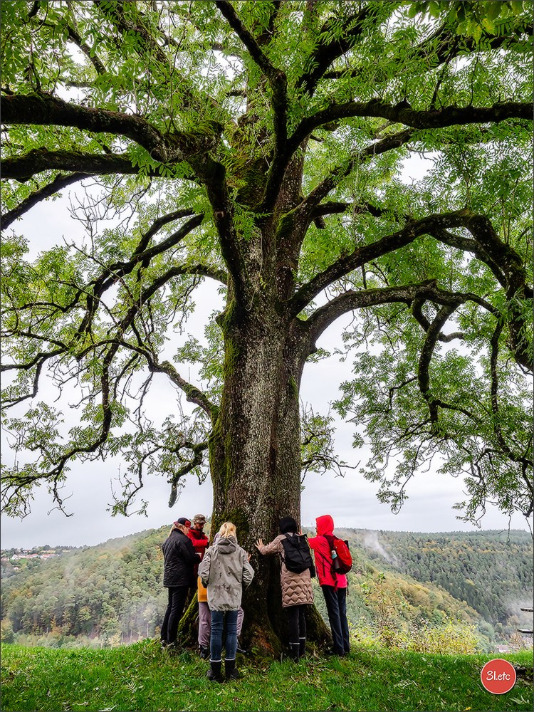 Ретрит в Эльзасе с Марией Ланг. Photographe à Strasbourg | Portraits, Studio, Enfants, Événements