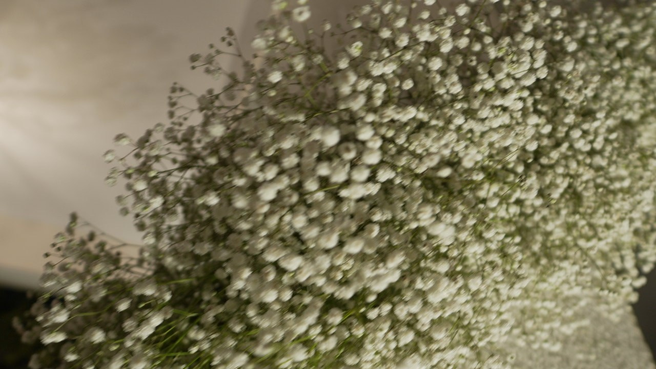 VIA / BASICO. Wedding and events photographers Studio Shalom