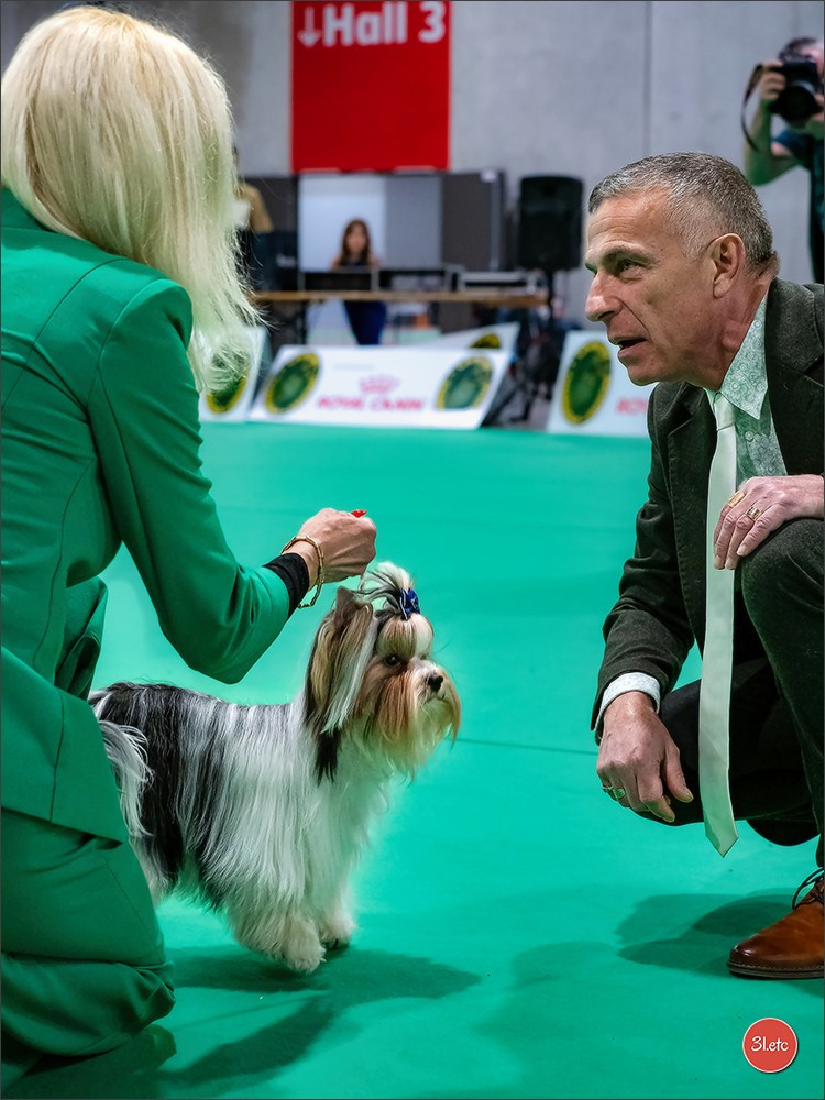 🇫🇷  Chalons en Champagne  🇫🇷  Expo canine  31/01-01/02/2026. Photographe à Strasbourg | Portraits, Studio, Enfants, Événements