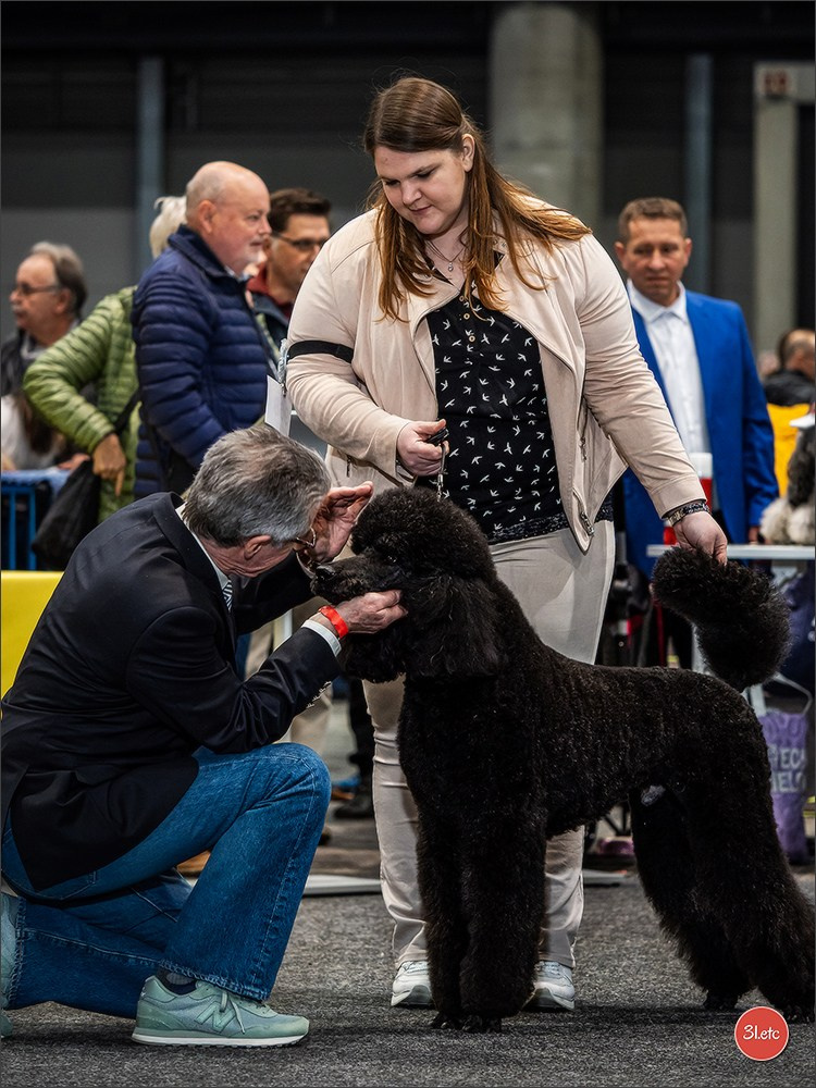 🇩🇪 Offenburg  International Dogshow 09-10.03.24 🇩🇪. Photographe à Strasbourg | Portraits, Studio, Enfants, Événements