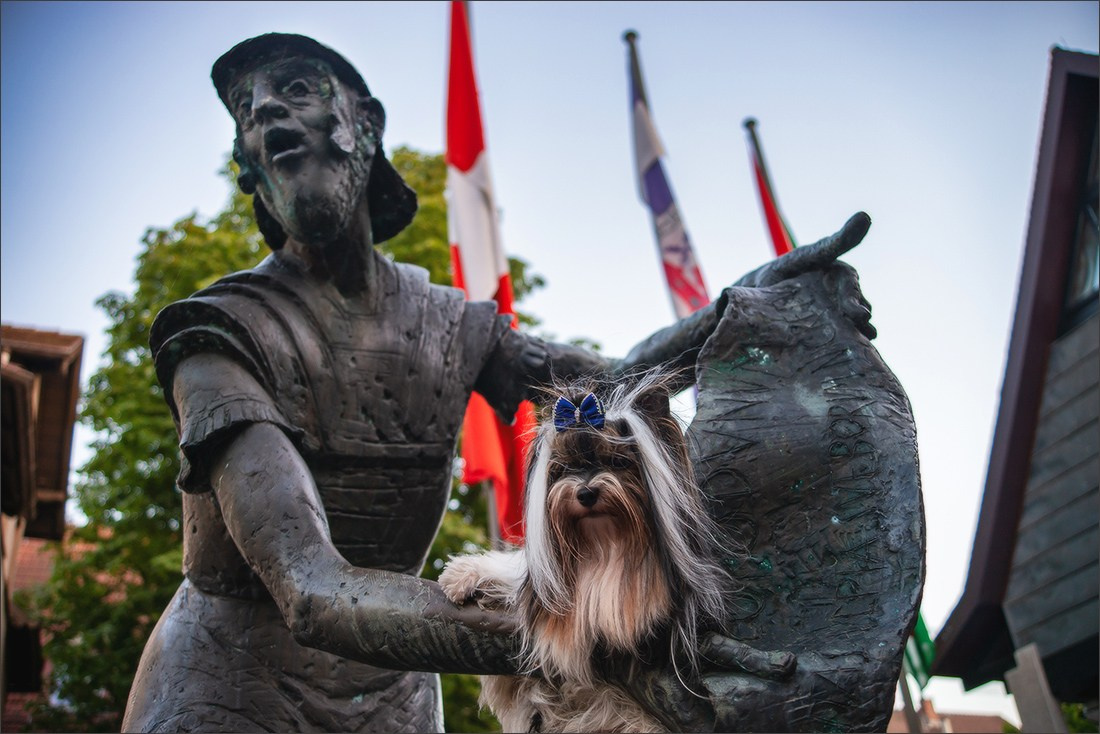 Landenburg, Germany. Photographe à Strasbourg | Portraits, Studio, Enfants, Événements