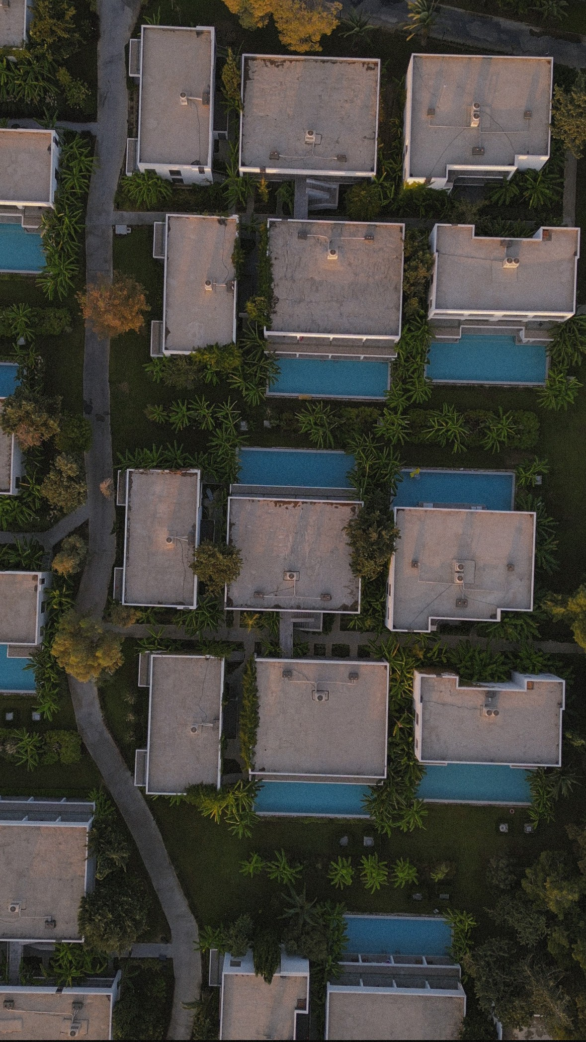 Paloma Finesse. Professional photographer and videographer specializing in filming hot