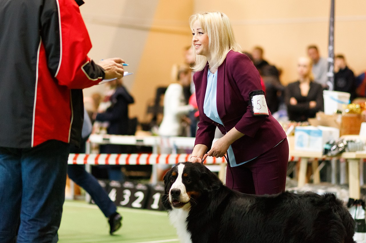 Grodno dog show. Kaja | fotograf we Wrocławiu | ludzie i psy