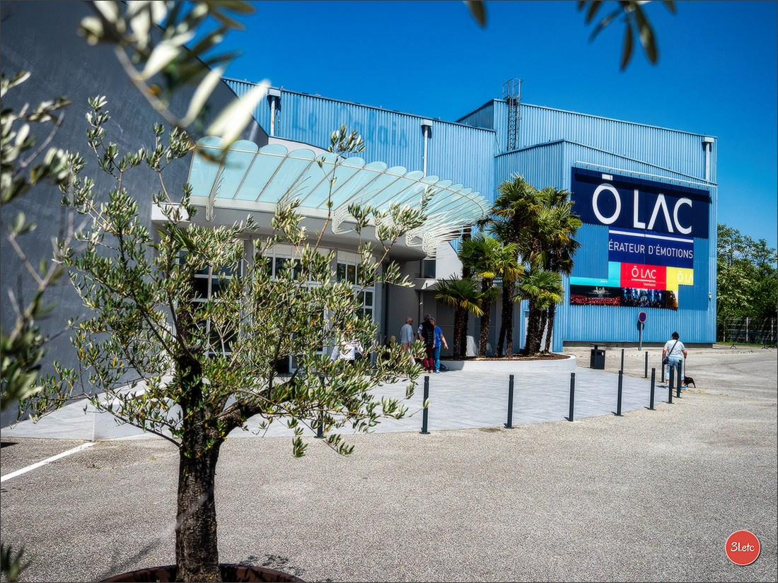 Expo canine 🇫🇷 Valence 03-04/05/2025. Photographe à Strasbourg | Portraits, Studio, Enfants, Événements