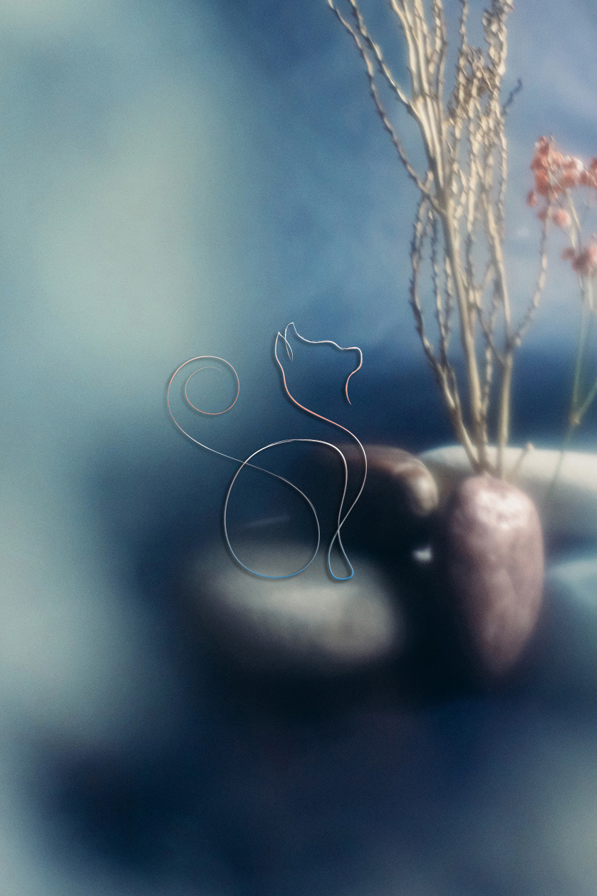 Personalized Still Lives. Lolly Shine. Contemporary digital artist