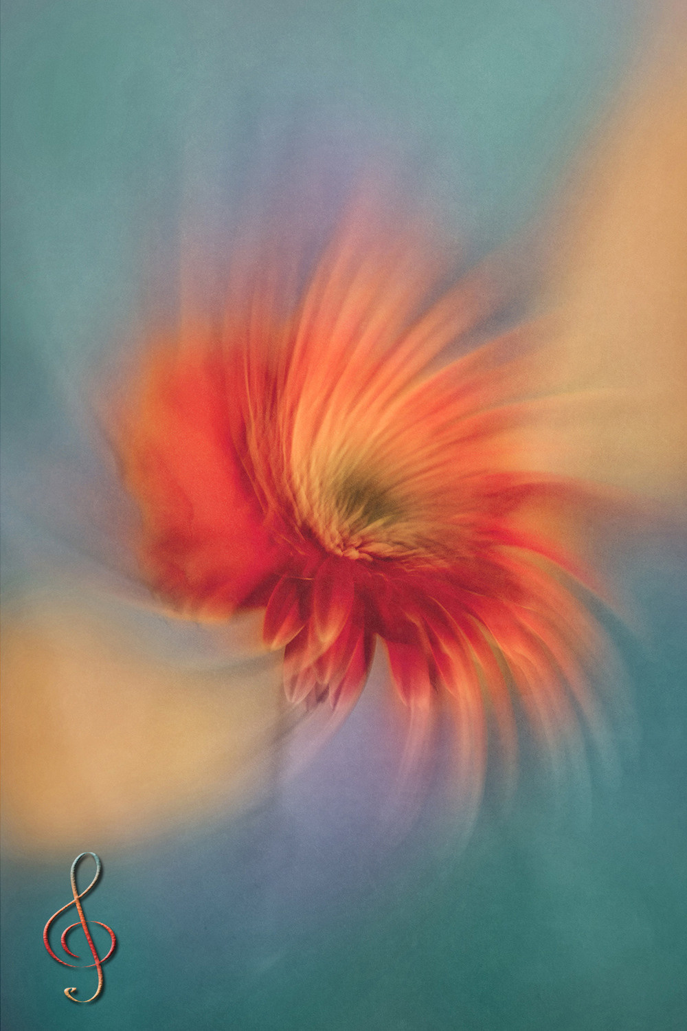 Personalized Still Lives. Lolly Shine. Contemporary digital artist