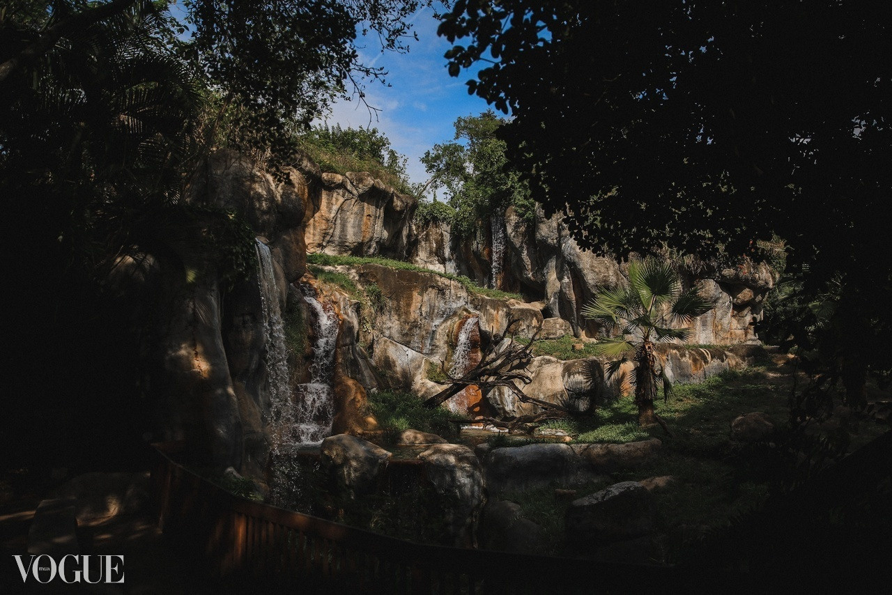 VOGUE. Ксения Мирная — Фотограф, с которым вы напишете вашу историю…