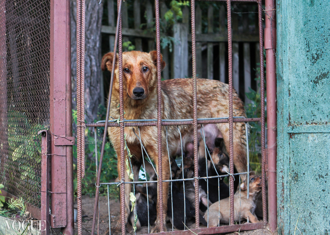 VOGUE. Ксения Мирная — Фотограф, с которым вы напишете вашу историю…