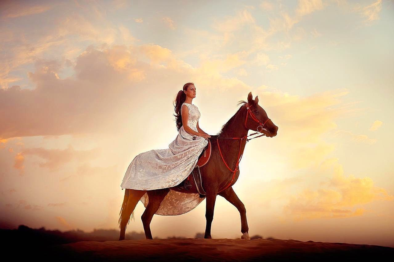 With horses and camels. Photographer and videographer in Dubai Dmitry Gromov