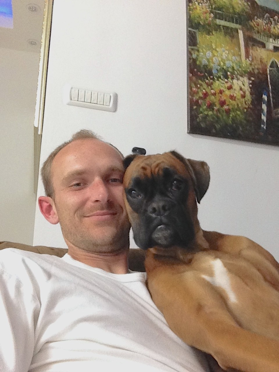 My ״Star״ Boxer Dog