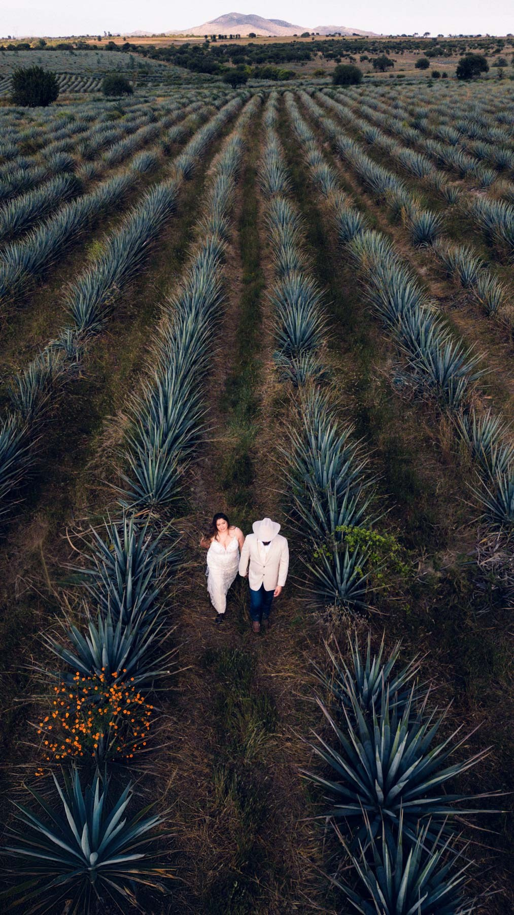 Weddings. Estudio de fotografia en Tijuana