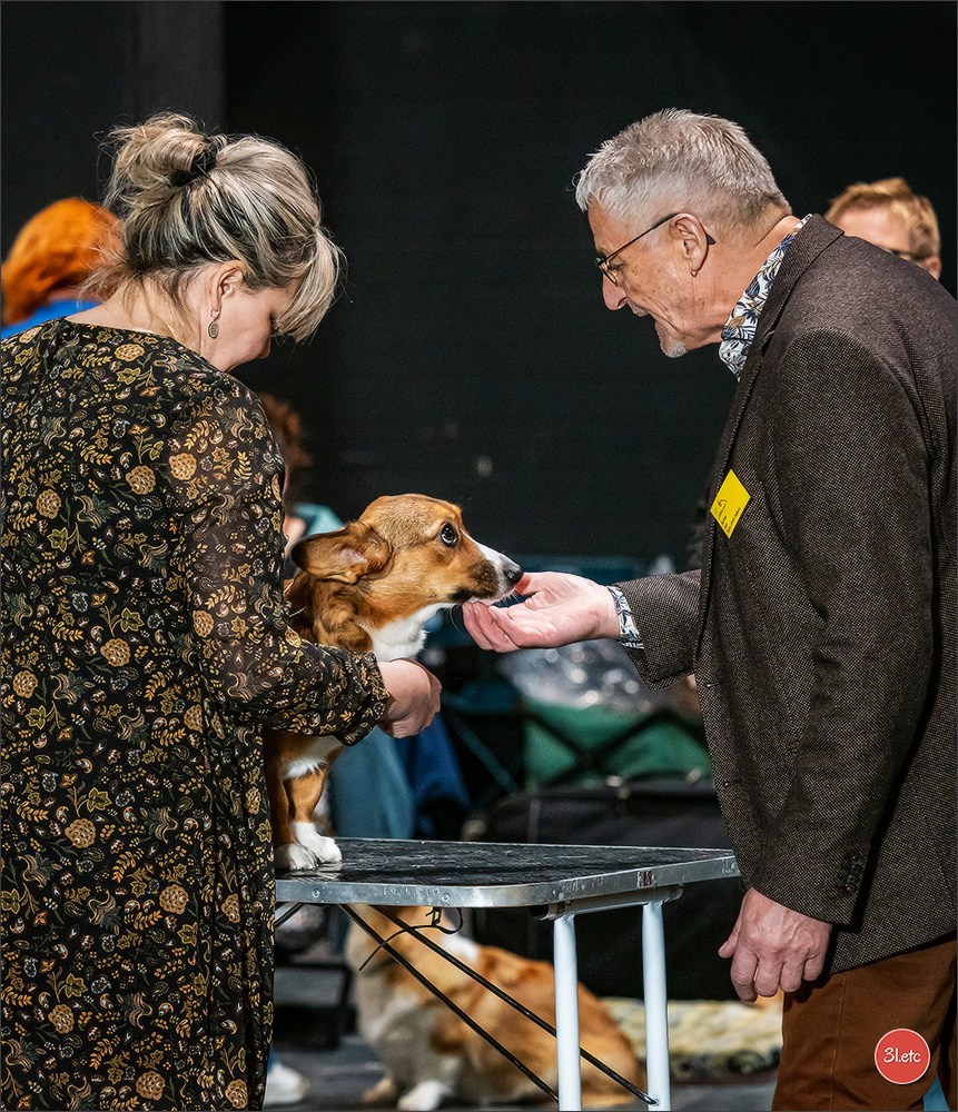 🇩🇪 Offenburg  International Dogshow 09-10.03.24 🇩🇪. Photographe à Strasbourg | Portraits, Studio, Enfants, Événements