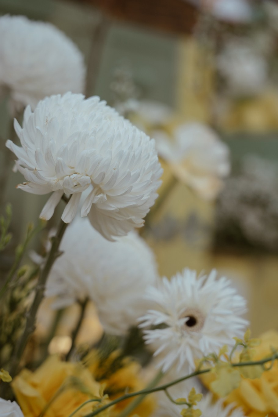 DUNG & ANH. WEDDING PHOTOGRAPHER IN VIETNAM