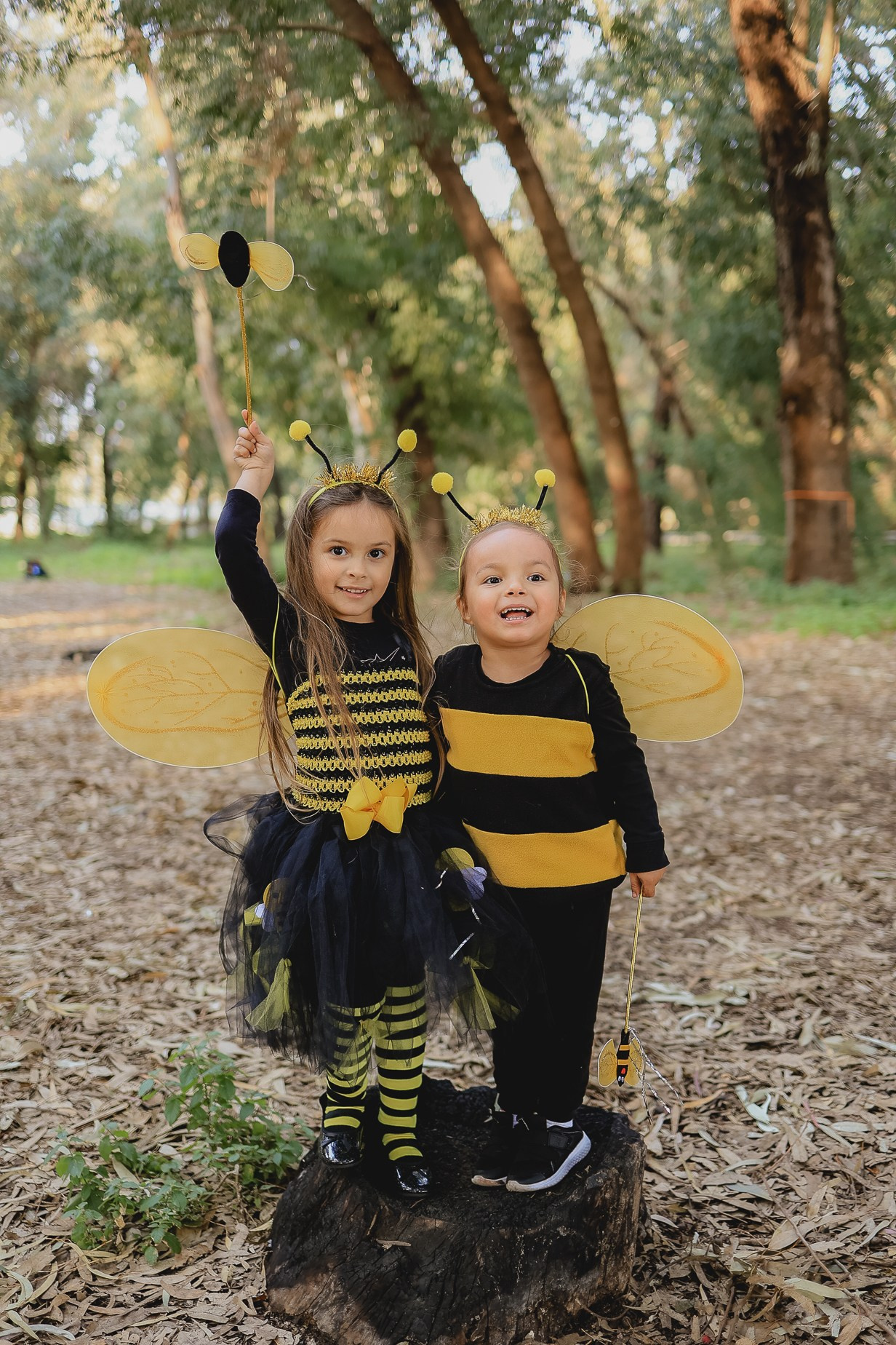 צילומי פורים בטבע. דף בית