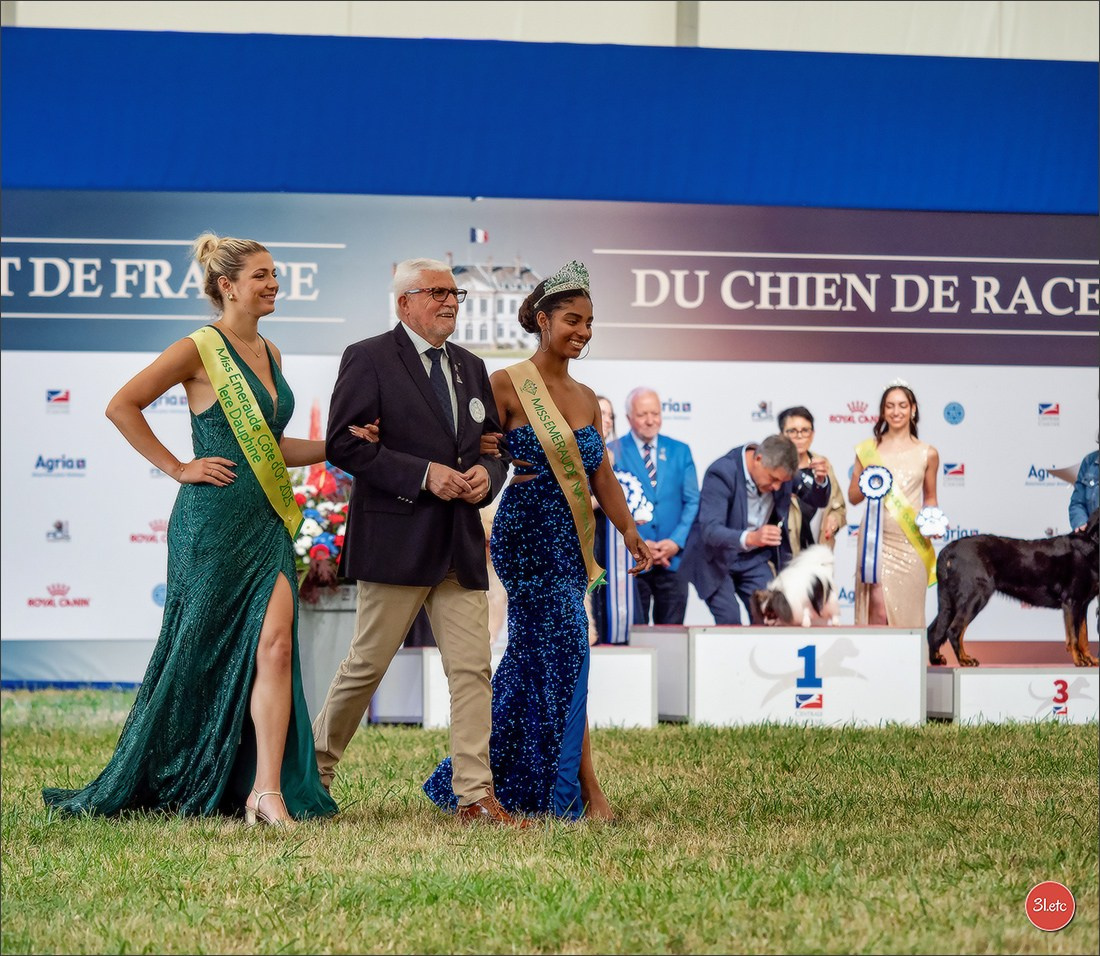 Championnat de France du chien de race  🇫🇷  DIJON (château de Brognon) 7-8/06/2025. Photographe à Strasbourg | Portraits, Studio, Enfants, Événements