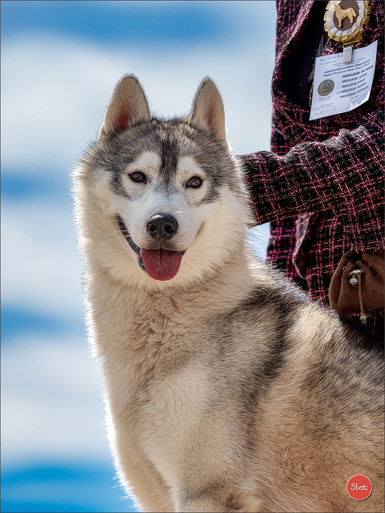 Expo canine 🇫🇷 Martigues  19-20/04/2025. Photographe à Strasbourg | Portraits, Studio, Enfants, Événements
