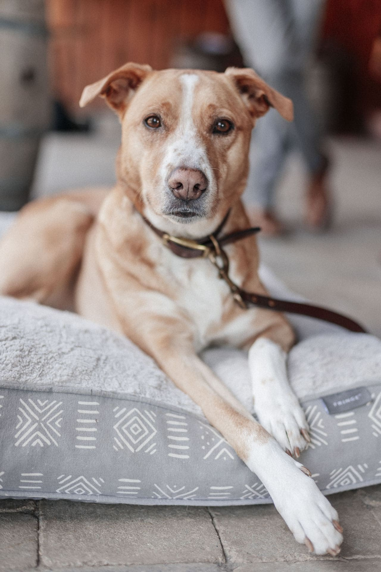 Hannah & Nikita’s Candid Wedding Photos | Documentary-Style Wedding Photography | Toronto, GTA, Vaughan, Mississauga. Storytellers Films — Candid Wedding Videographer & Photographer in Toronto, Ontario and beyond