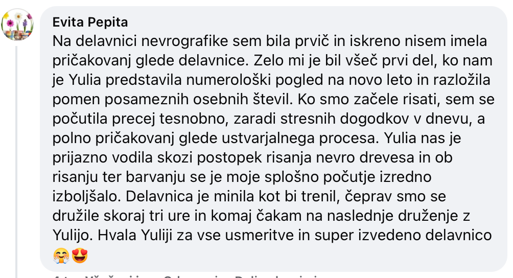 Nevrografika. Numerologija. Nevrografika. Delavnice