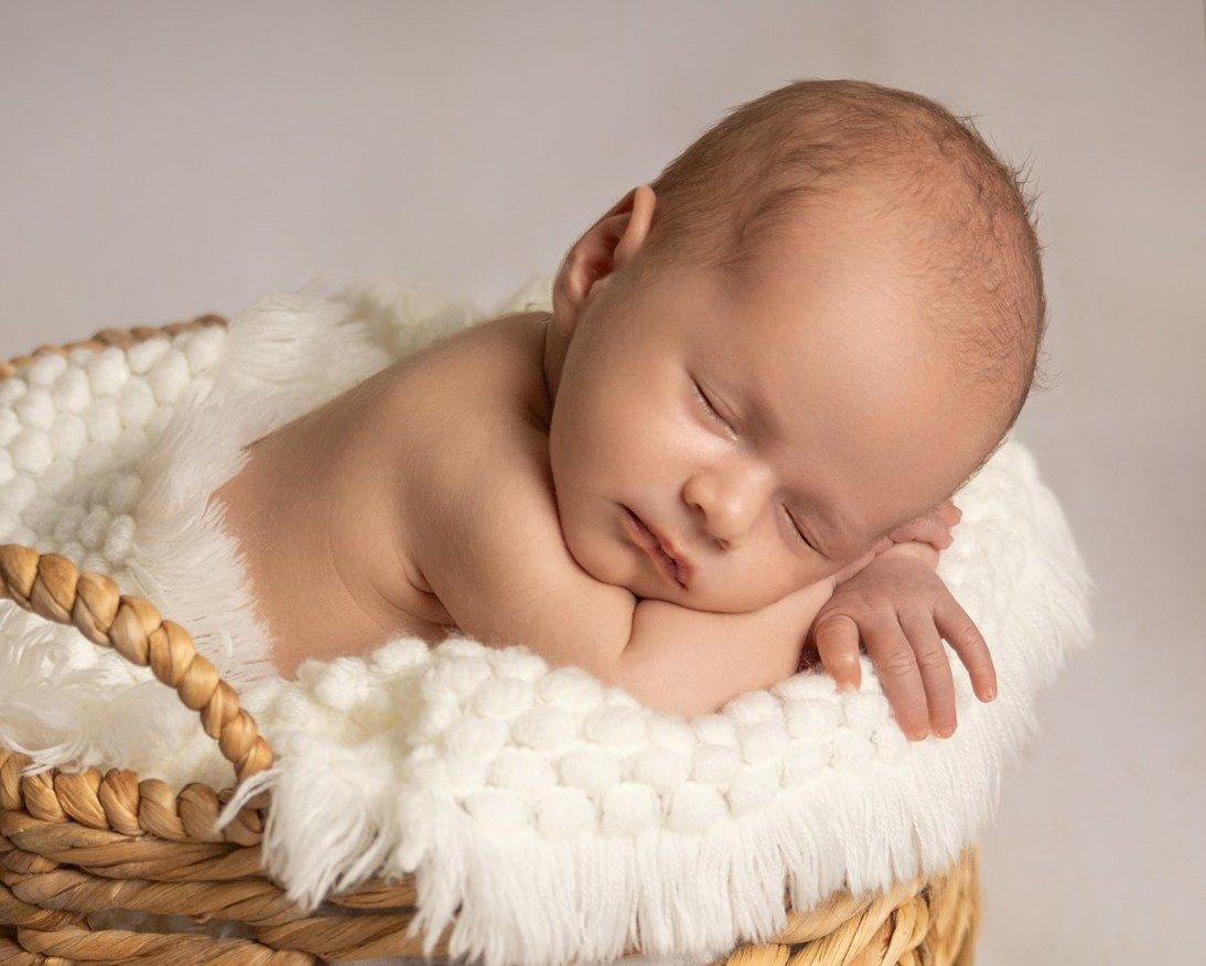 Newborn photos. Newborn photographer in Tampa Bay Area, FL