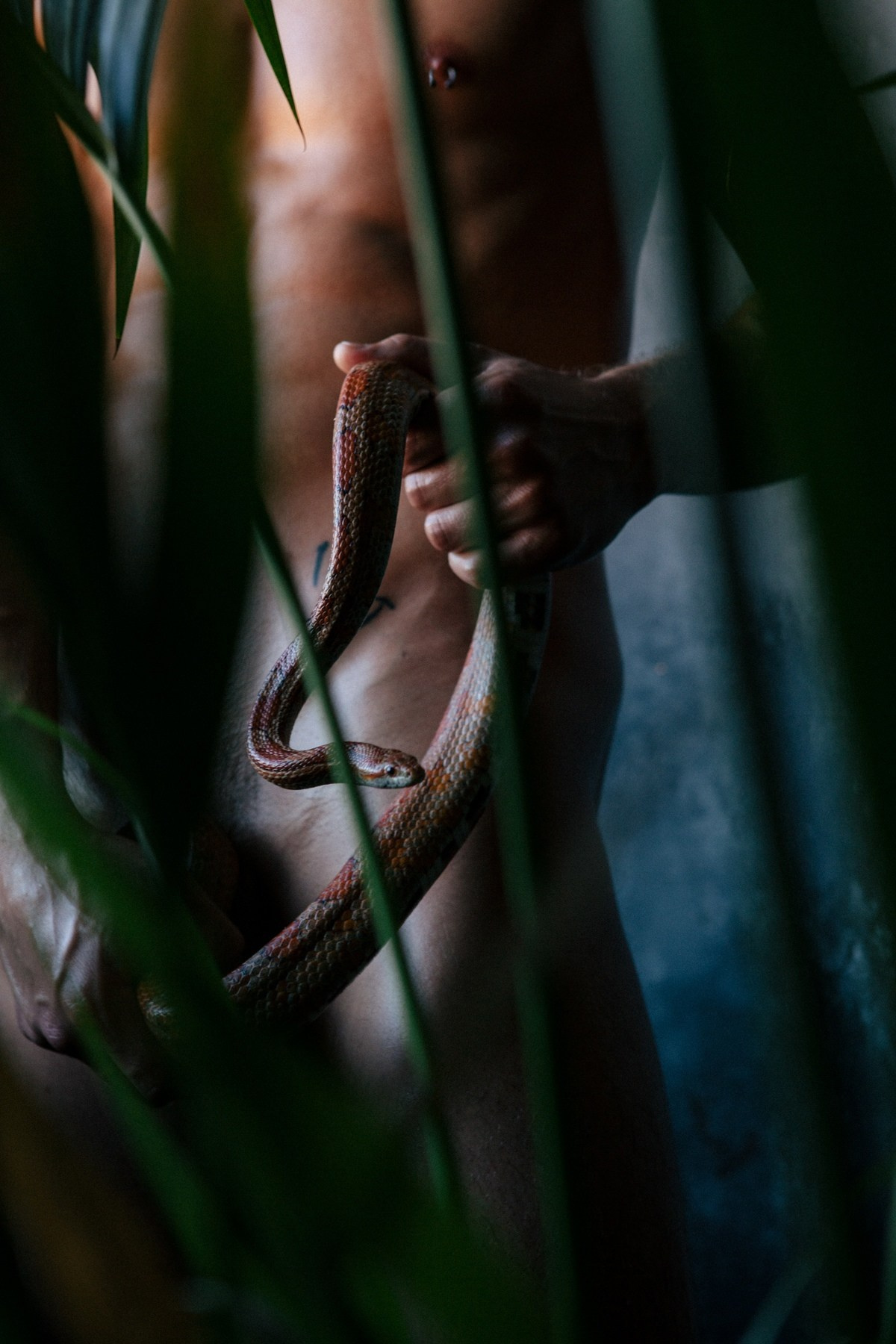 M Nude. Boudoir and art photography