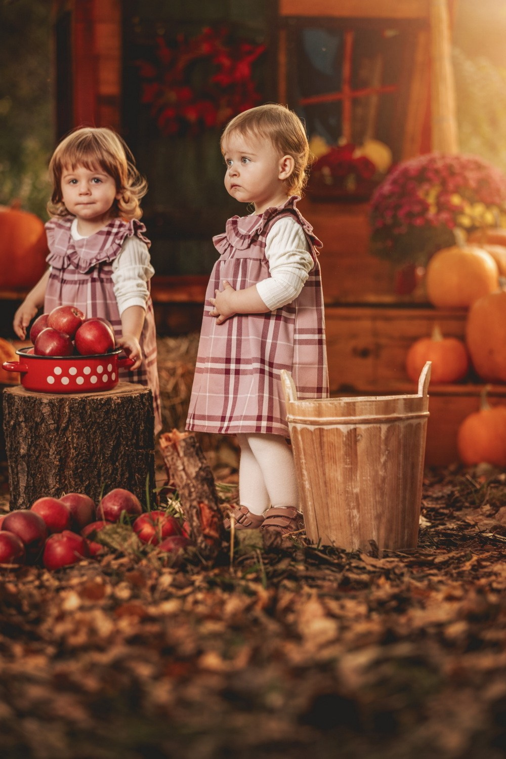 JESENJE FOTOGRAFISANJE. Fotografi iz Backog Petrovca David i Andrea Stojanovic