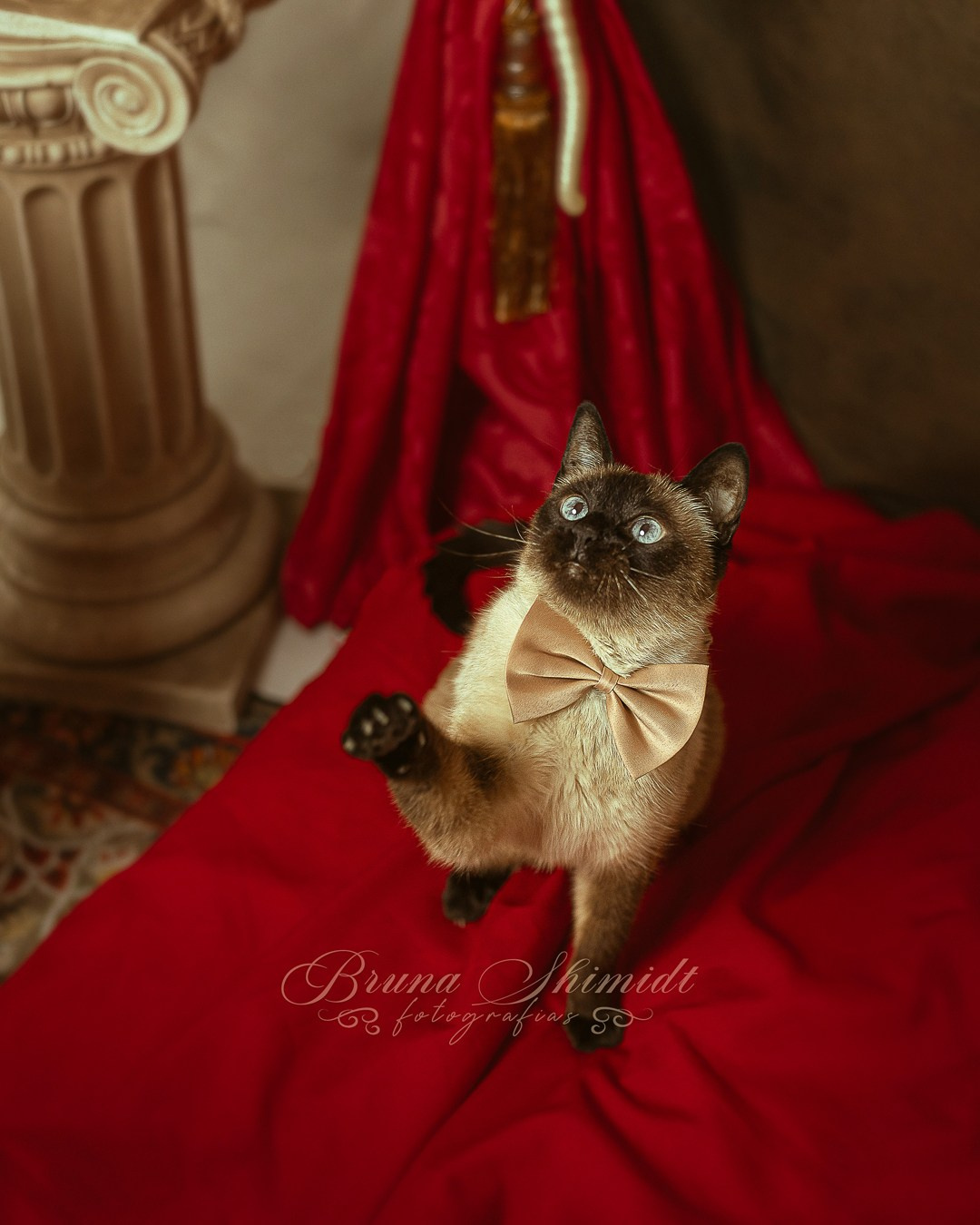 Ensaio Fotográfico Vintage | São Paulo. Fotógrafa em são paulo — Fotos Autênticas