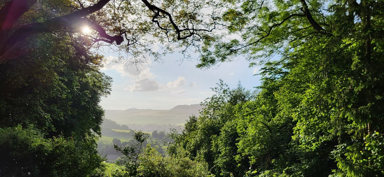 Blog. Schwarz-weiß Fotografie in Münster. Fotografin Viktoria Roschen