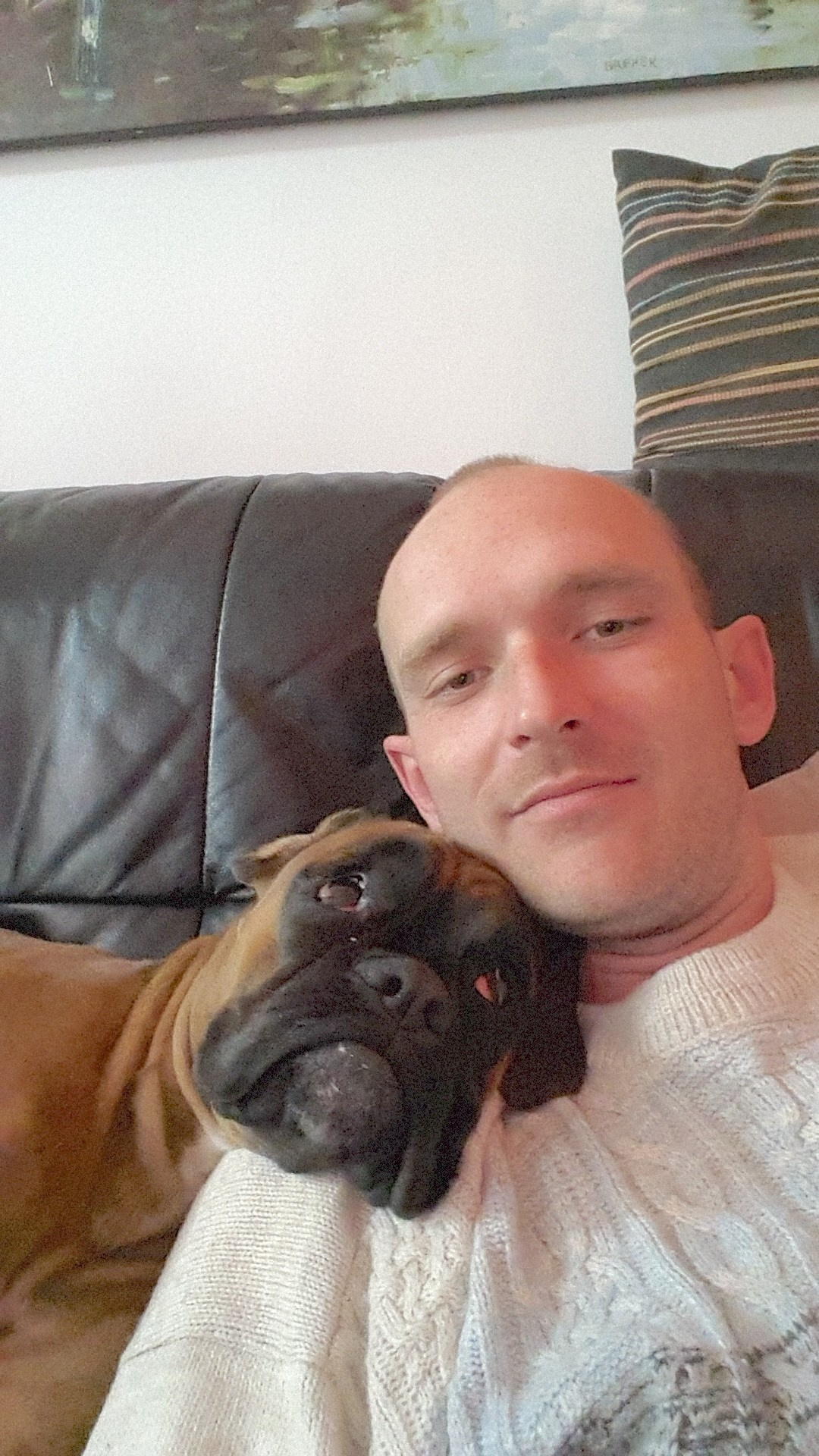 My ״Star״ Boxer Dog