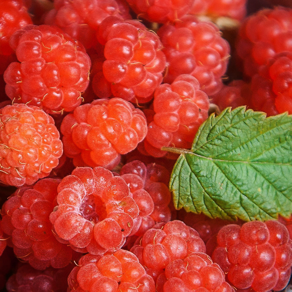 Food. Orange County Wedding Photographer & Videographer | Candid & Timeless Wedding Photo + Video | Italiantsev