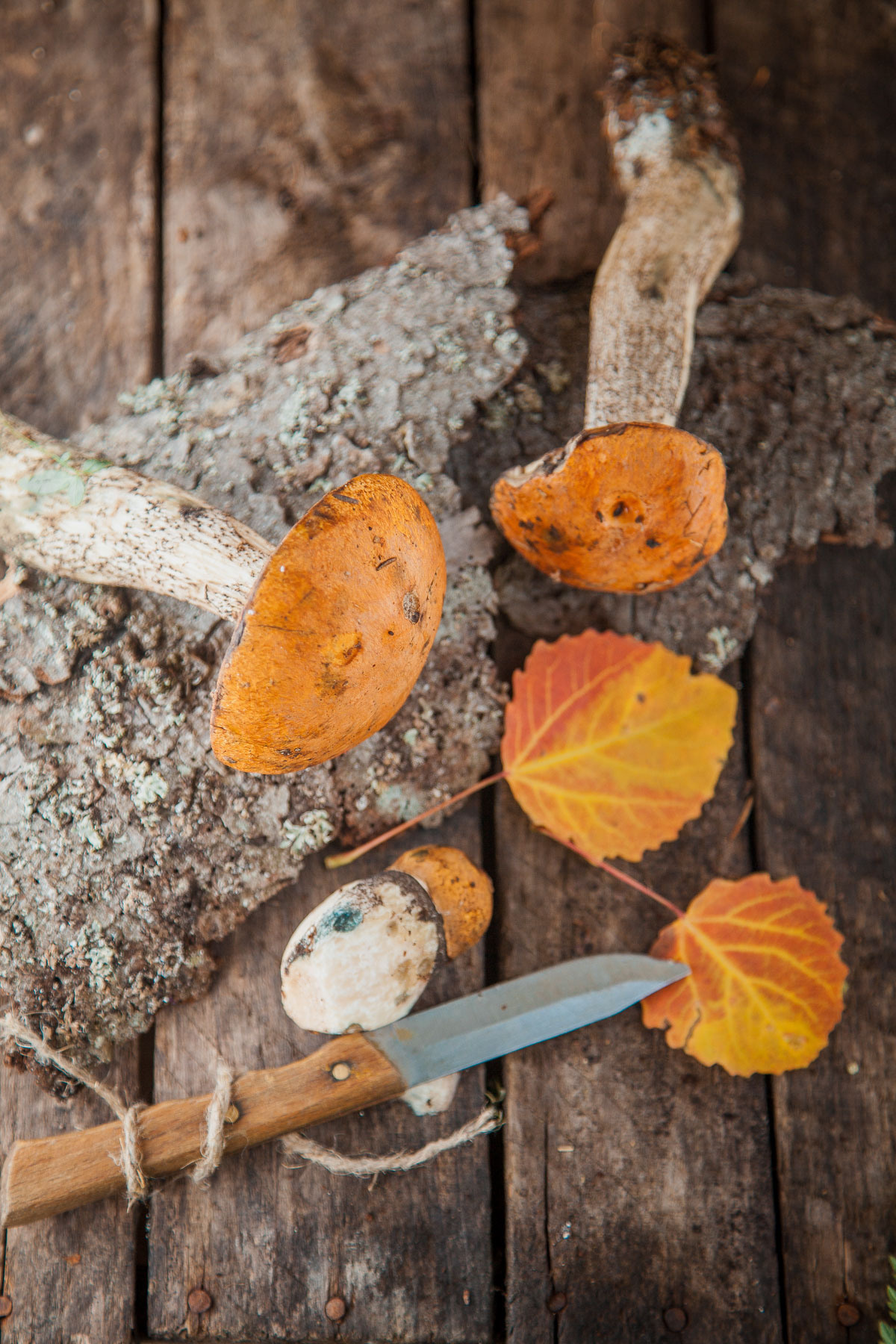 Food. Orange County Wedding Photographer & Videographer | Candid & Timeless Wedding Photo + Video | Italiantsev