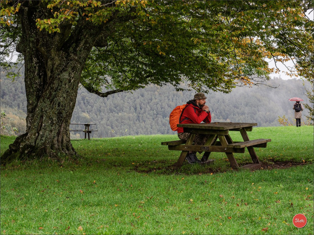 Ретрит в Эльзасе с Марией Ланг. Photographe à Strasbourg | Portraits, Studio, Enfants, Événements