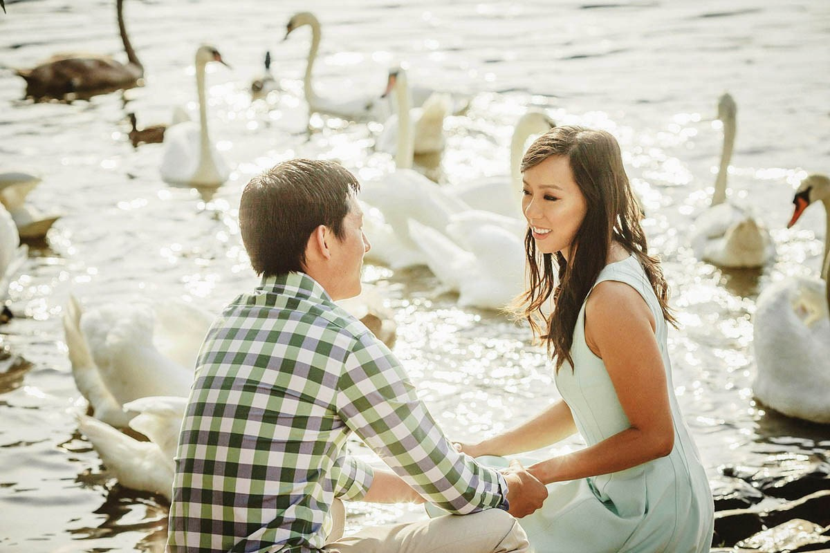 Asian couple holding hands as they crouch near the swans along the riverside in Prague during their pre-wedding.