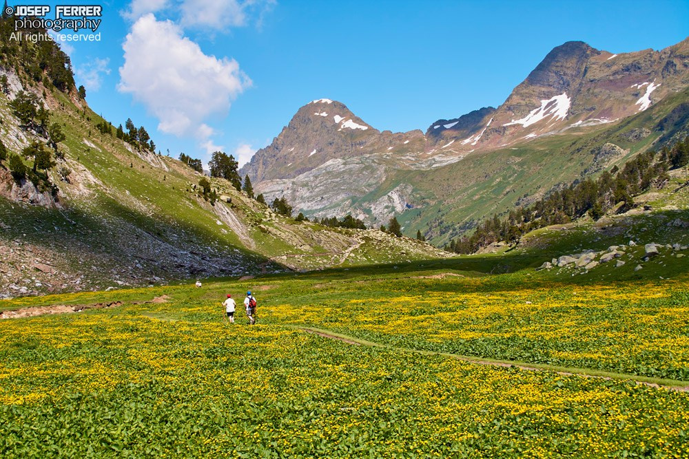 Valle de Benasque, Pyrenees, Huesca