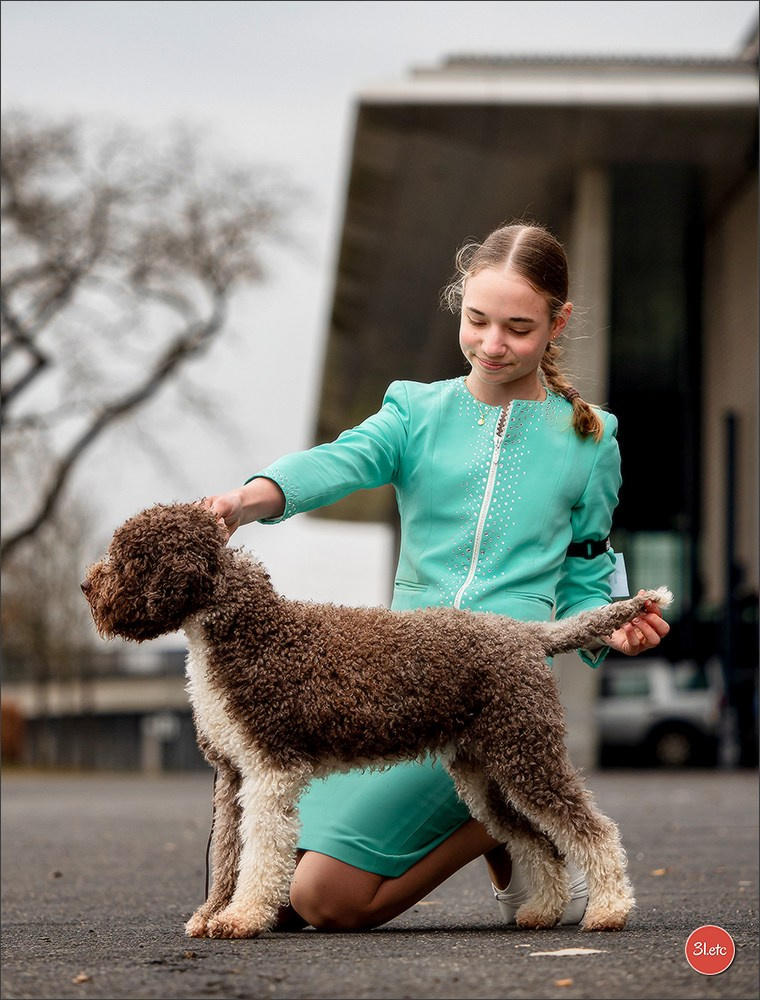 🇩🇪 Offenburg International Dogshow 15-16.03.25 🇩🇪. Photographe à Strasbourg | Portraits, Studio, Enfants, Événements