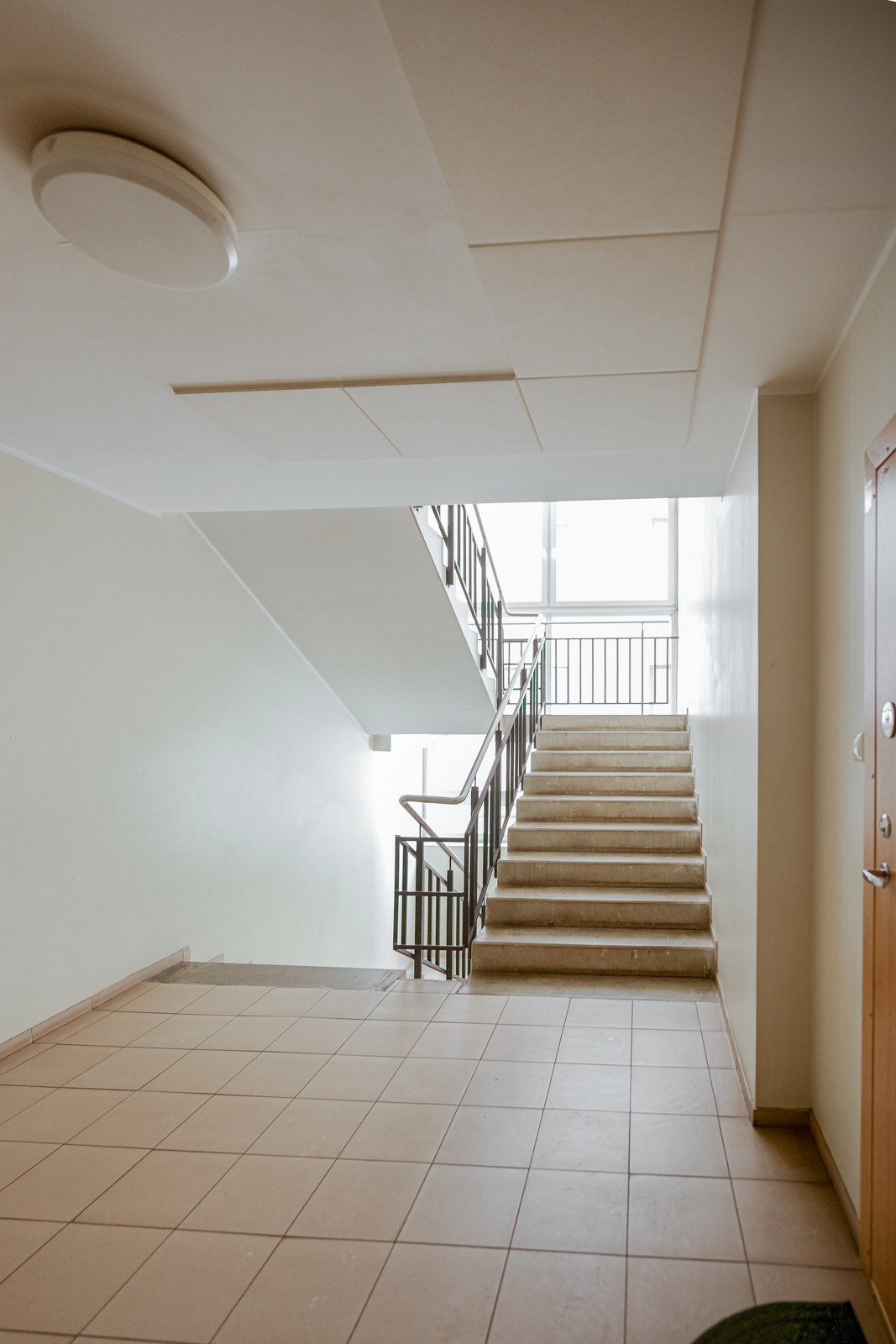 Povilionio. Elina Sapiega fotografė Vilniuje