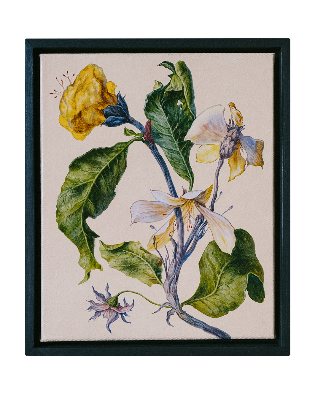 Botanical Etude No. 3. ELEN BEZHEN