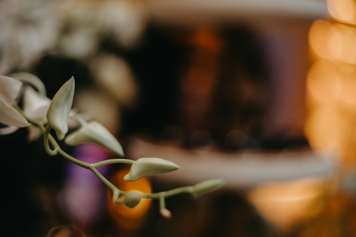 Larissa e Rodrigo - Casamento. Fotógrafa de Eventos em São Paulo e Sorocaba Kika Damasceno