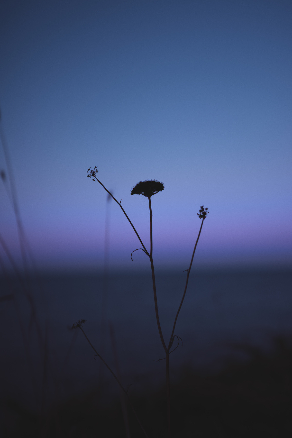 landscape photography by mkn visual all around the world