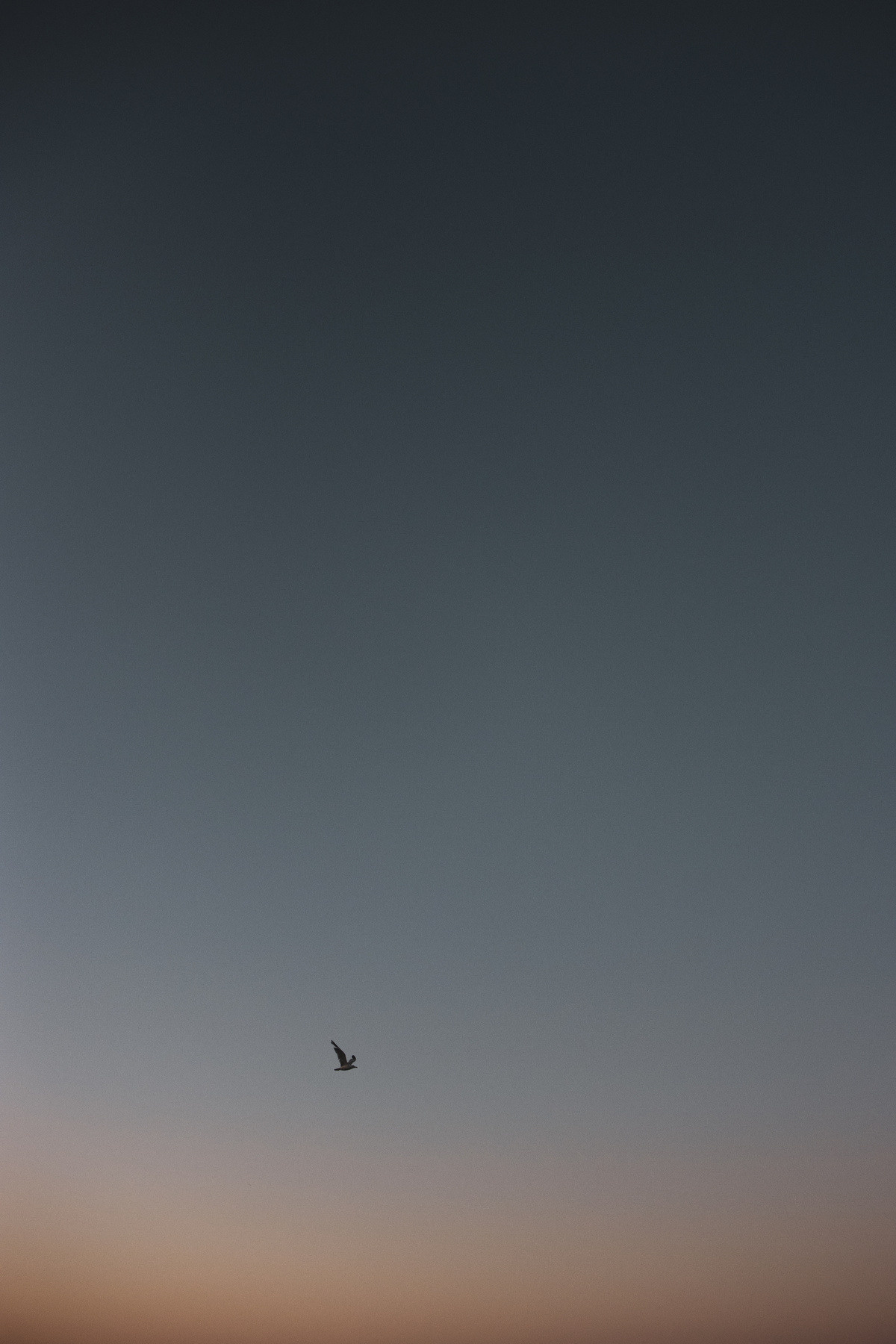 landscape photography by mkn visual all around the world