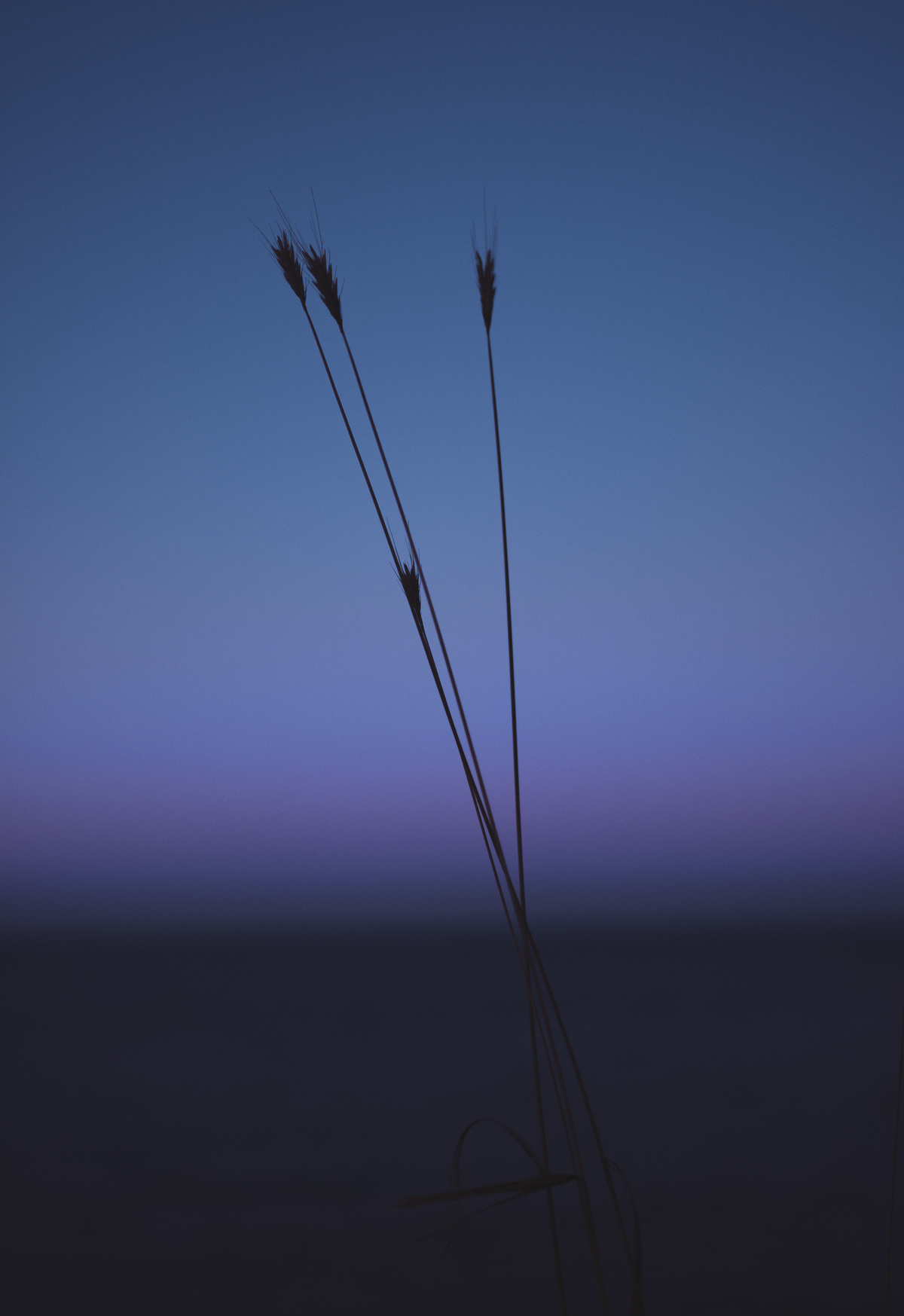 landscape photography by mkn visual all around the world