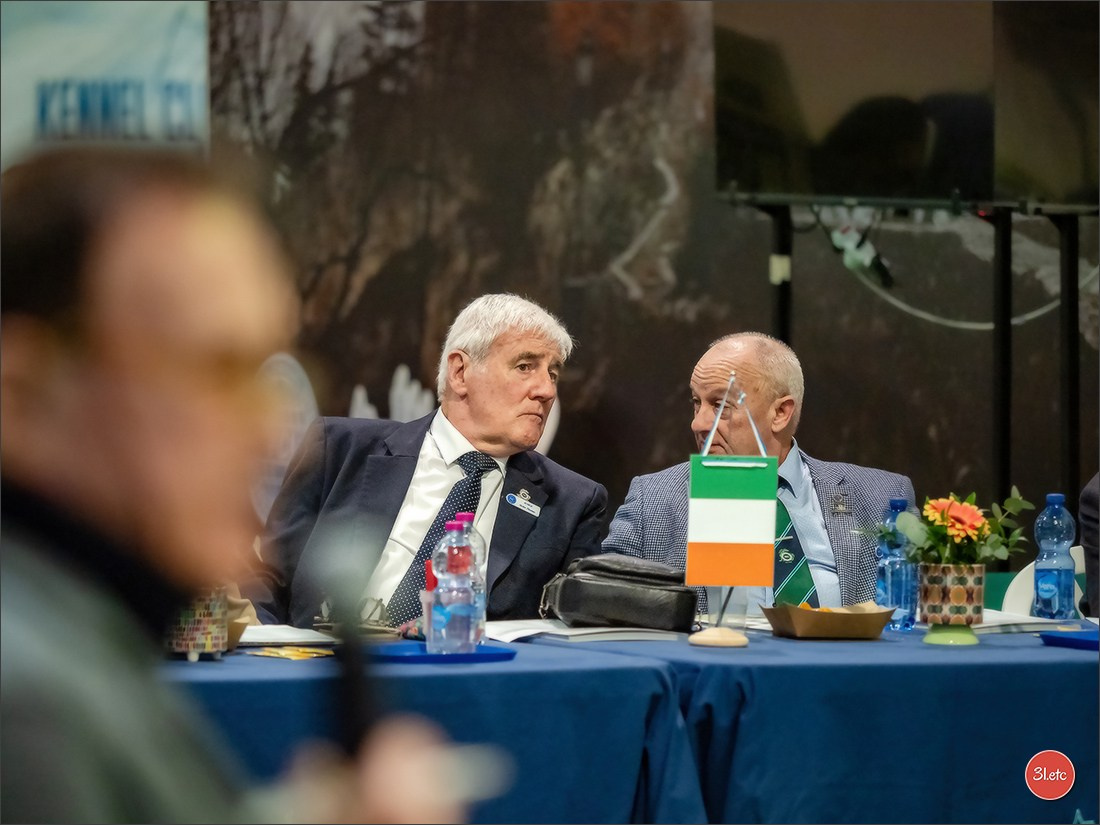 Dog Show  🇮🇹  San Marino. Photographe à Strasbourg | Portraits, Studio, Enfants, Événements
