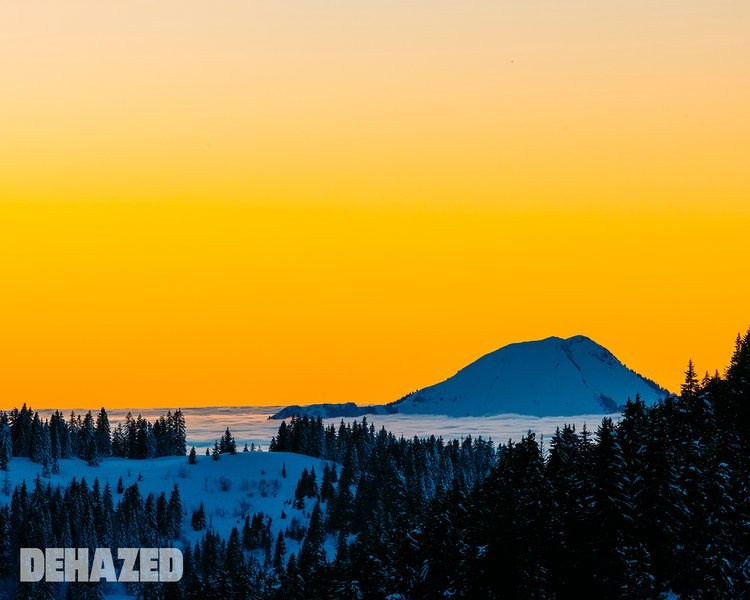 Publications. OLGA REPTIK