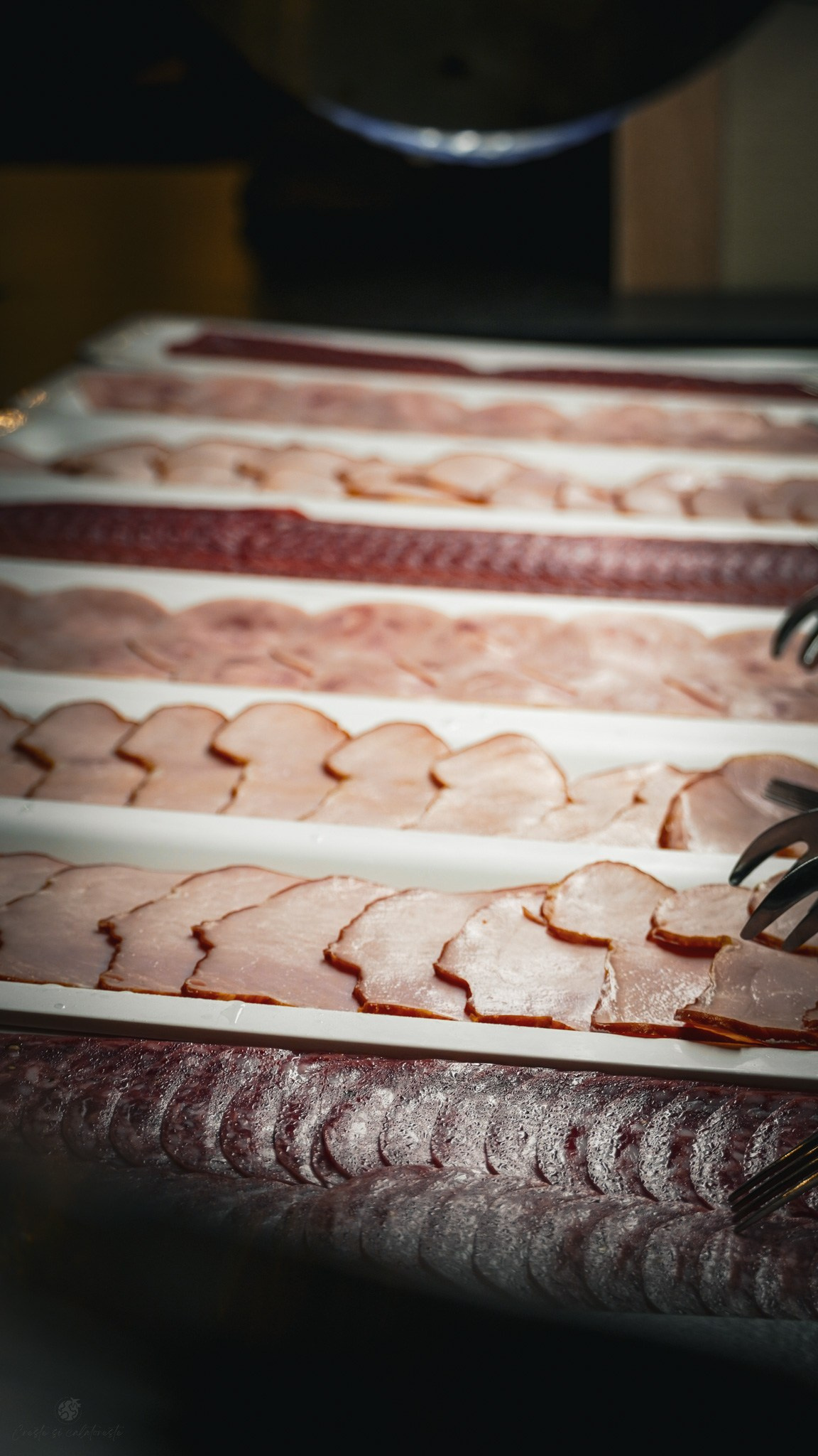 Bacolux Koralyo. Creste si calatoreste