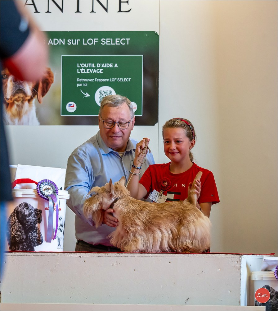 Exposition Canine à  Margny-lès-Compiègne 14-15/09/2024. Photographe à Strasbourg | Portraits, Studio, Enfants, Événements