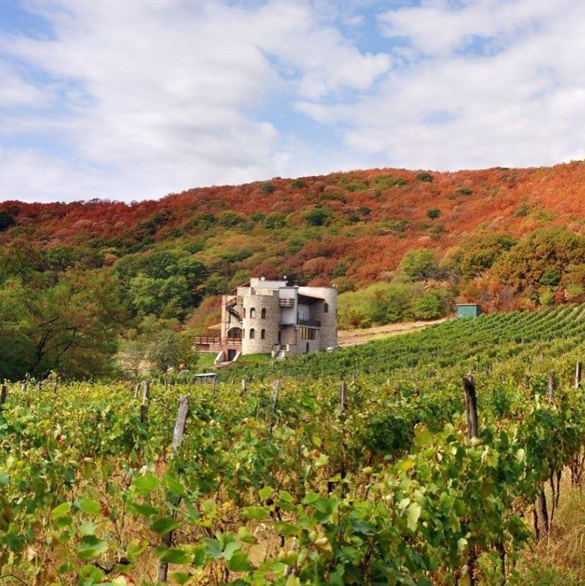 Babaneuris Marani. Главная