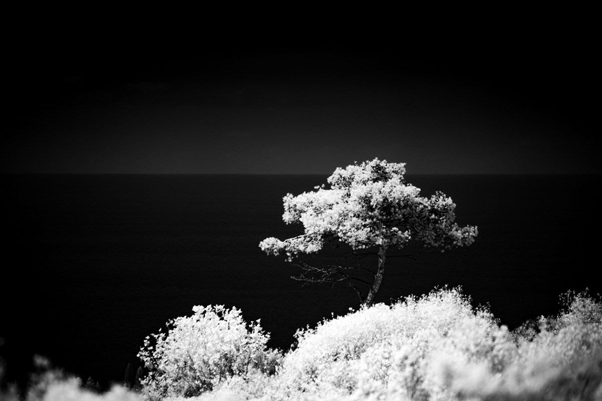 Отпечатки света. Фотограф в Израиле Максим Саяпин