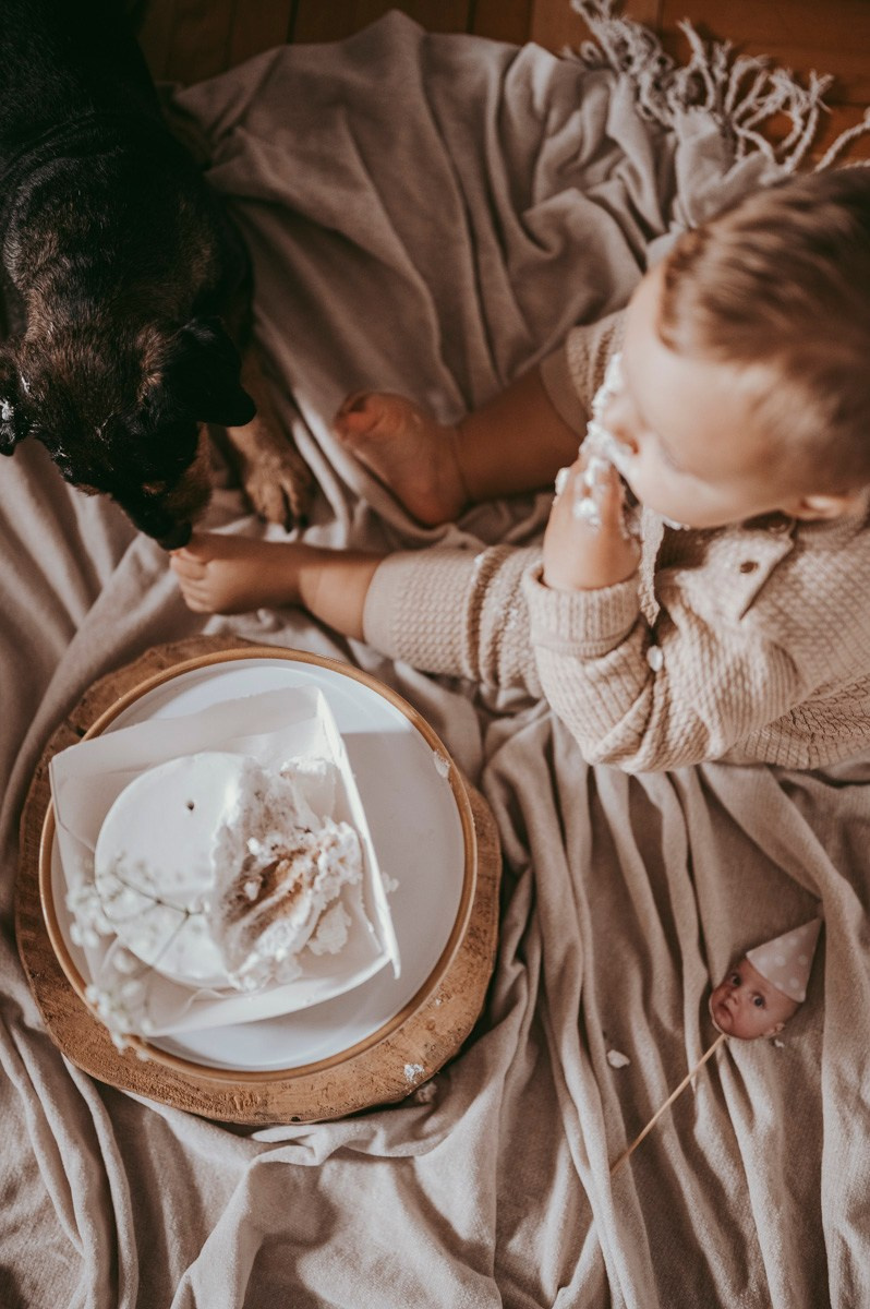 Filipova prva proslava rodjendan kod kuce. Deciji i porodicni fotograf u Beogradu Oksana Skendzic